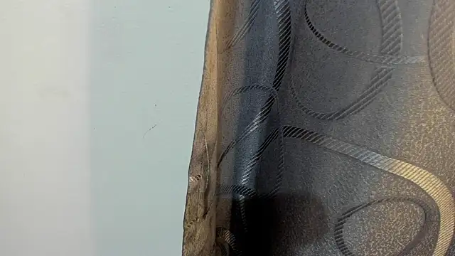 Lotto bloom online show from January 14, 2026, 12:42 pm