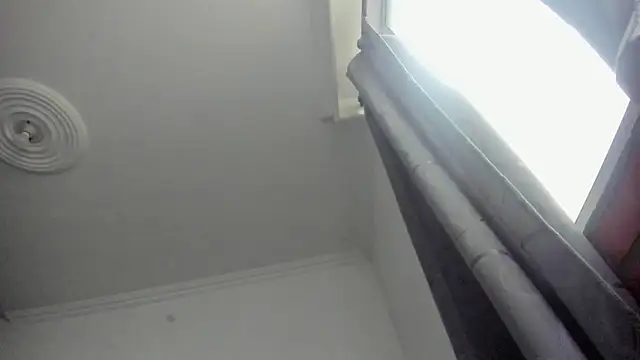 Lotto bloom online show from January 11, 2026, 12:12 pm