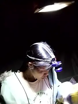 dinnavi online show from November 24, 2025, 2:17 pm