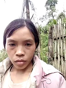 dinnavi online show from November 7, 2025, 7:13 am