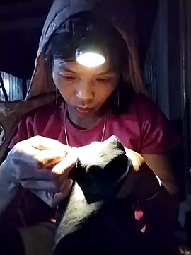 dinnavi online show from November 10, 2025, 1:49 pm