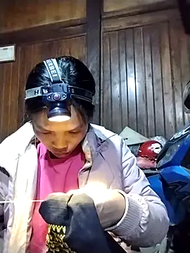 dinnavi online show from November 9, 2025, 1:37 pm