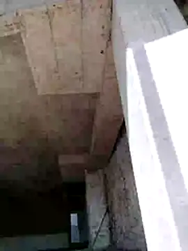 dinnavi online show from November 27, 2025, 5:19 am