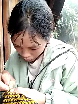 dinnavi online show from November 13, 2025, 2:04 am