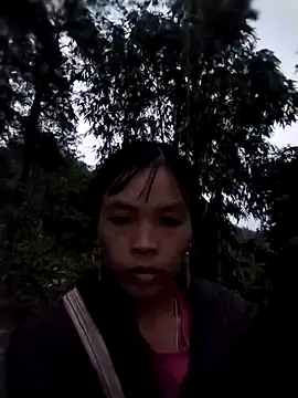 dinnavi online show from October 29, 2025, 12:04 pm