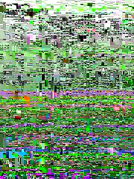 perfectguy4u online show from October 28, 2025, 8:52 pm