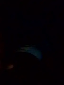 Poonam12A online show from February 6, 2026, 7:54 pm