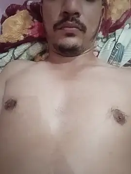 indoregigolo online show from November 14, 2025, 8:51 am