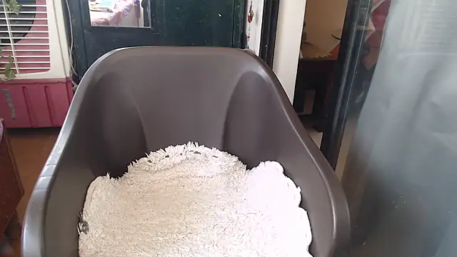 TABOOBREAKERS online show from March 10, 2025, 9:34 am