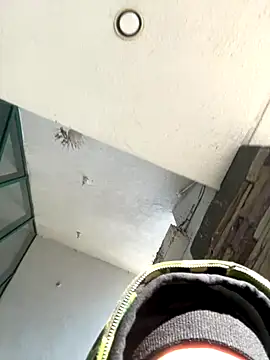 slimshadypt2 online show from November 21, 2025, 4:17 pm