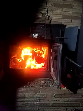 Snapshot of Fuckboyguyman chatting on February 2, 2026, 5:17 am Fuckboyguyman online show from February 2, 2026, 5:17 am