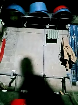 Noelle-e online show from March 17, 2026, 11:52 pm