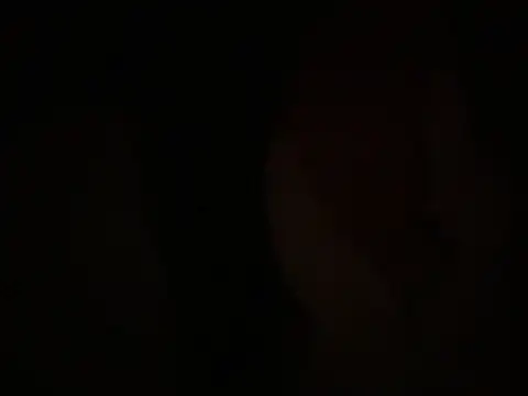 miku pipipi online show from November 25, 2025, 7:36 pm