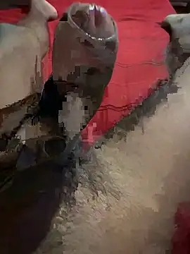 vijay20k online show from March 3, 2026, 8:16 pm