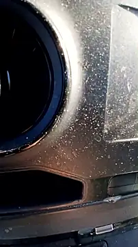 Pinos8700 online show from November 5, 2025, 11:35 am