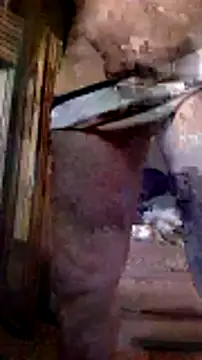 Pinos8700 online show from November 5, 2025, 11:41 pm