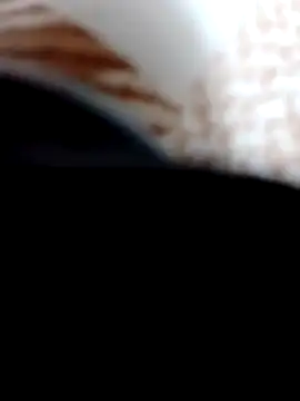 Pinos8700 online show from November 1, 2025, 4:01 pm