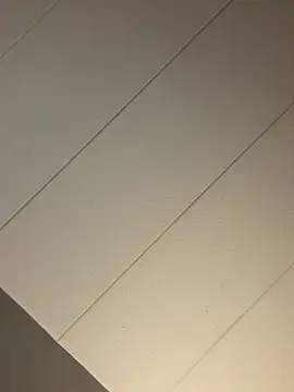 bbc4toes92 online show from November 20, 2025, 6:14 am