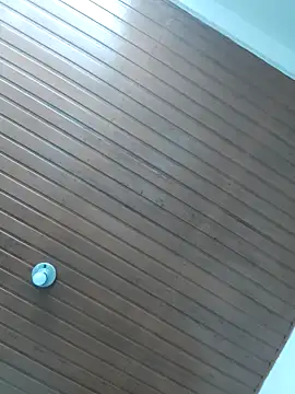 SiennaBite online show from November 29, 2025, 9:37 pm