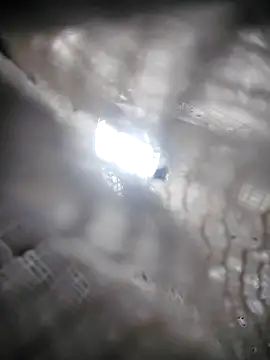 Lana-murr online show from November 6, 2025, 7:07 pm