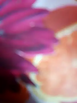 Laal Parilove online show from November 9, 2025, 6:56 pm