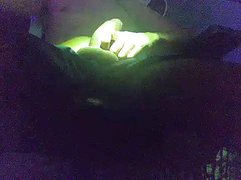 analice32456 online show from March 3, 2026, 6:53 am