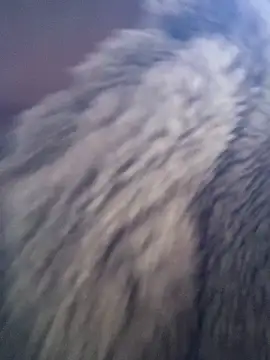 huttonmay358 online show from November 24, 2025, 2:33 am