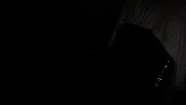 gygyfox online show from November 21, 2025, 10:53 pm