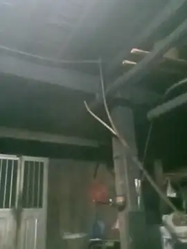 matbiec- online show from November 19, 2025, 10:32 pm