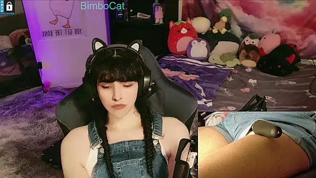BimboCat online show from December 14, 2025, 1:12 am