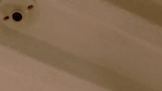 Zara Nova online show from December 17, 2025, 11:32 pm