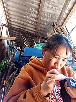 zubu-ti online show from November 26, 2025, 5:07 am