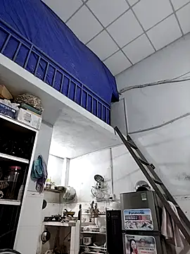 Liveryta online show from November 28, 2025, 11:54 am