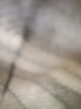 Snapshot of Pallu_Asha chatting on March 1, 2026, 4:23 am Pallu Asha online show from March 1, 2026, 4:23 am