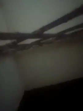 Pallu Asha online show from April 28, 2026, 3:49 pm