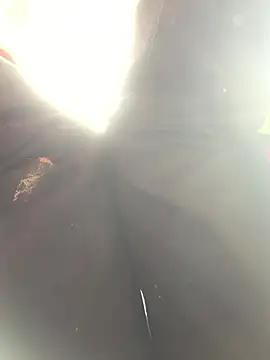 bi-bo123 online show from January 10, 2026, 5:03 am