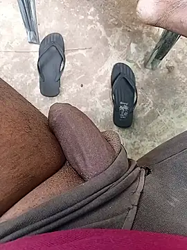 DK 9396 online show from January 7, 2026, 9:25 am