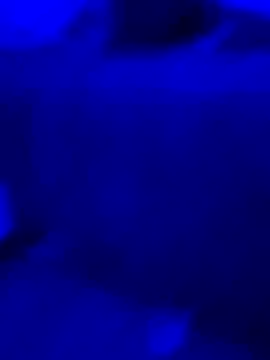 Asstray909 online show from November 9, 2025, 12:20 pm