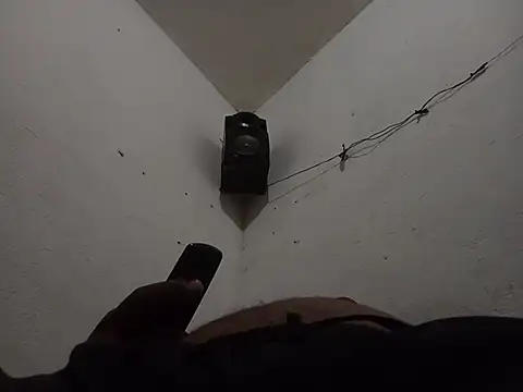 negrocomomisuerte online show from November 5, 2025, 8:06 am