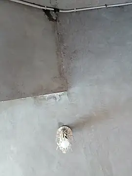 PaulinaLondra2 online show from November 11, 2025, 2:01 pm