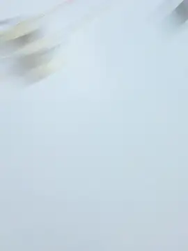 sexylove19 online show from February 27, 2026, 1:55 pm