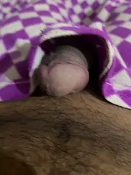 Snapshot of playboyoftelugu chatting on November 14, 2025, 5:44 am playboyoftelugu online show from November 14, 2025, 5:44 am