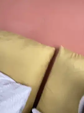 Aurinia online show from November 4, 2025, 8:18 am