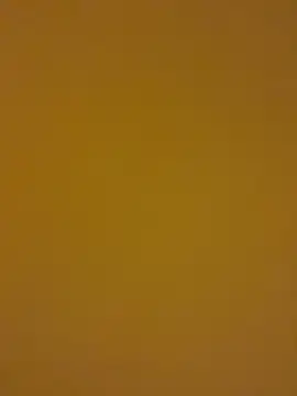 kentojp online show from November 14, 2025, 1:48 pm