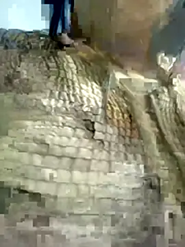 Nishi-3 online show from January 17, 2026, 12:31 pm