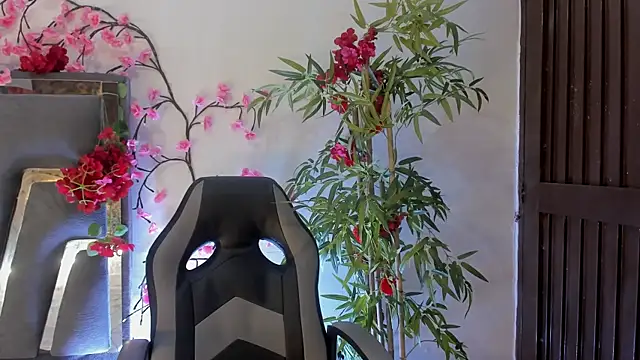 DanfneTorres online show from November 19, 2025, 7:36 pm