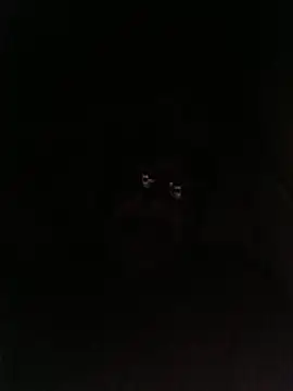 bruno 324278 online show from May 28, 2026, 2:52 am