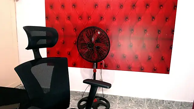 Bryant Connor online show from November 25, 2025, 3:18 am