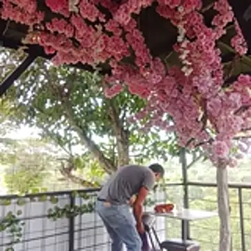 sexlocos online show from November 8, 2025, 5:05 pm