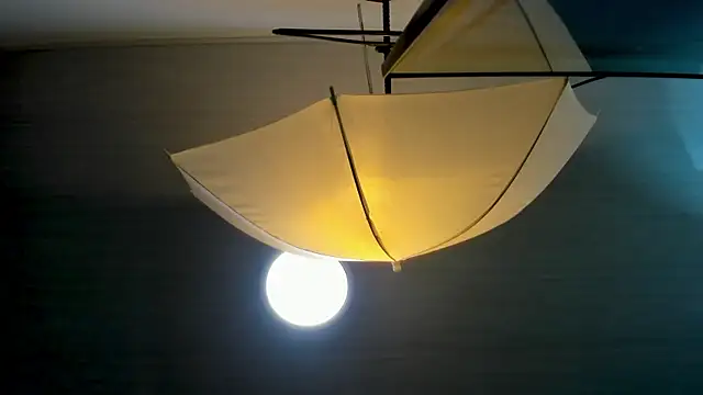 EvaLuxxe online show from November 30, 2025, 8:53 pm